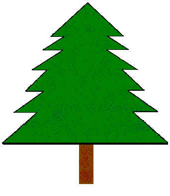 arbre-conifere