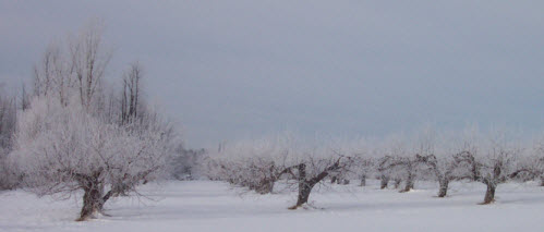 Vivre au Québec